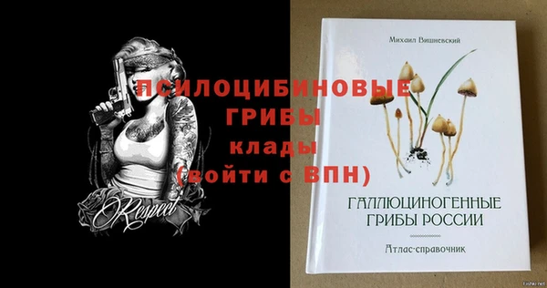 PSILOCYBIN Бронницы