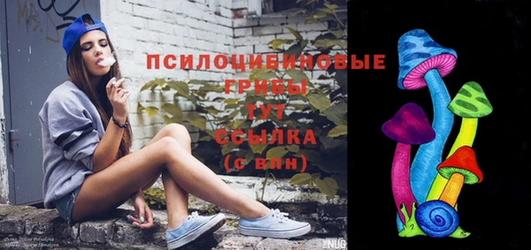 PSILOCYBIN Бронницы