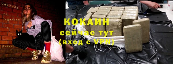 mix Бородино