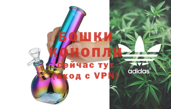 PSILOCYBIN Бронницы